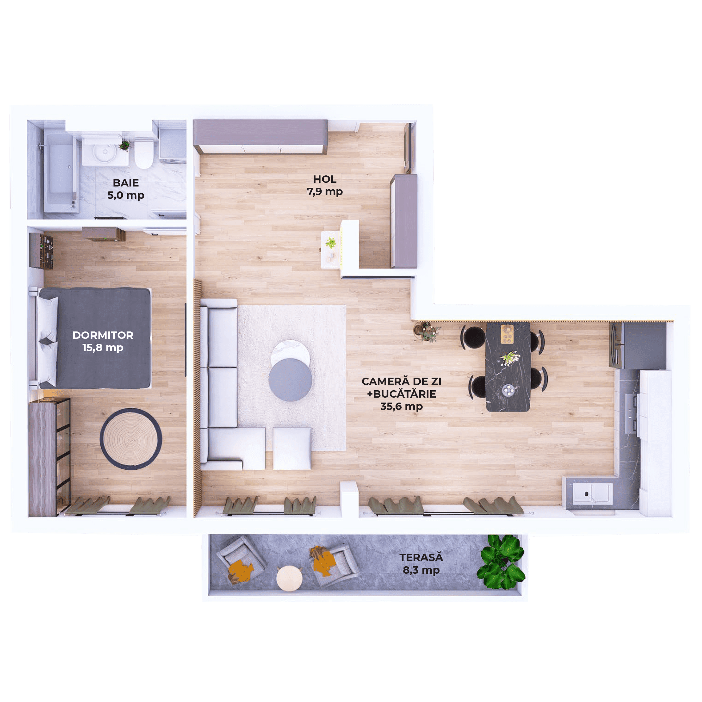 Plan apartament V19-P-1